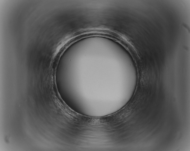 X0000100981360200806241138