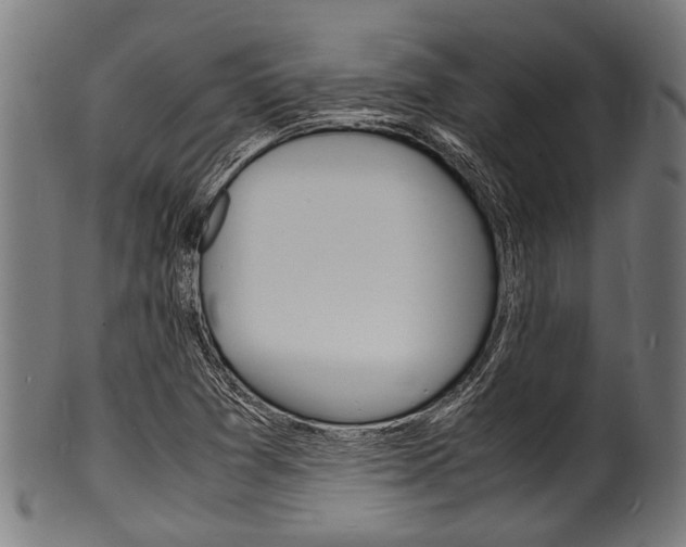X0000100981361200806241138