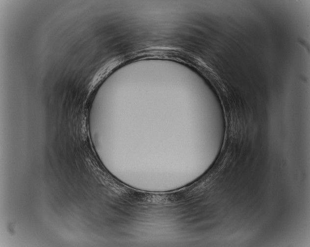 X0000100981362200806241138