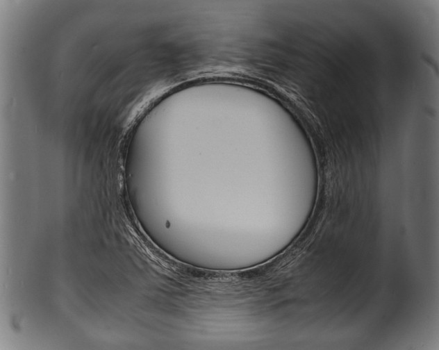 X0000100981363200806241138