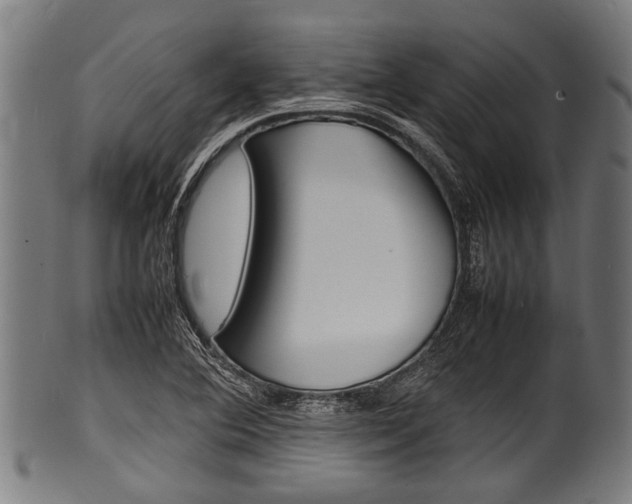 X0000100981364200806241138