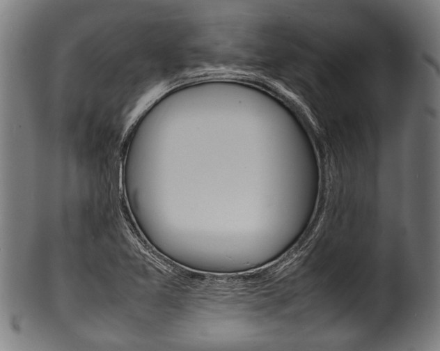 X0000100981365200806241138