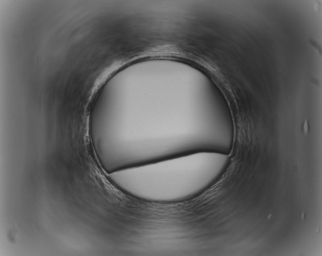 X0000100981366200806241138