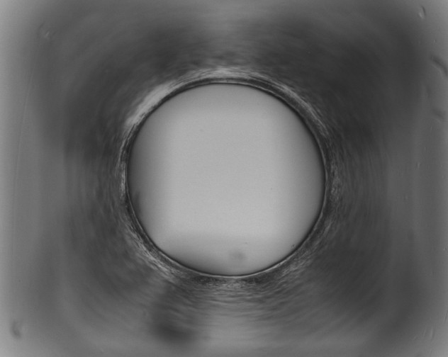 X0000100981367200806241138