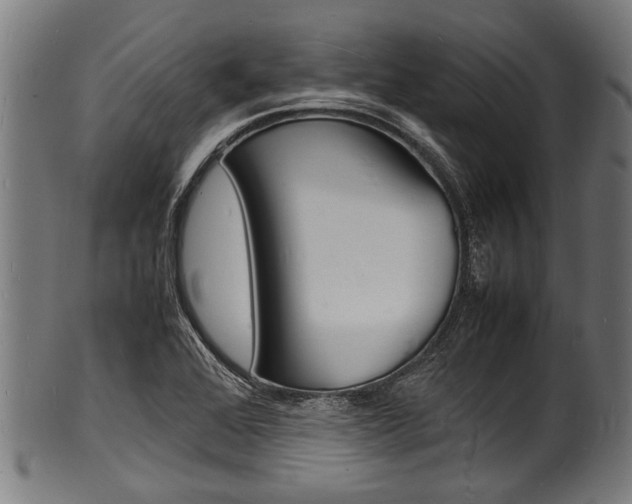 X0000100981368200806241138