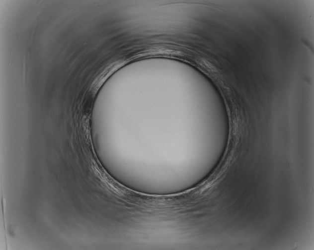 X0000100981369200806241138