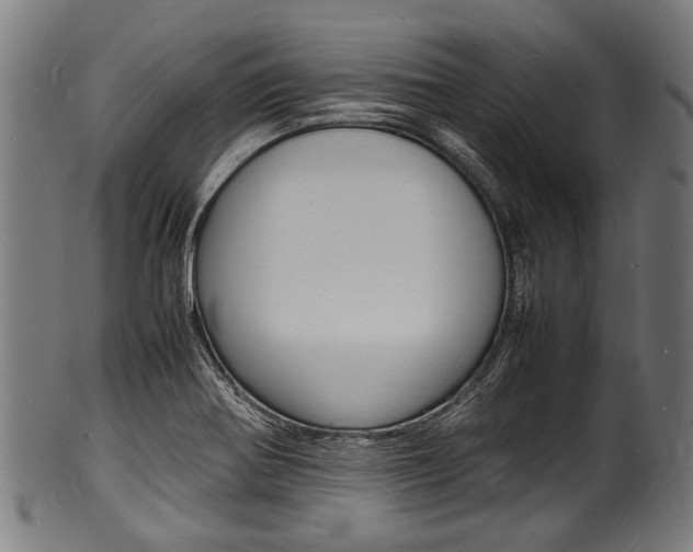 X0000100981370200806241138