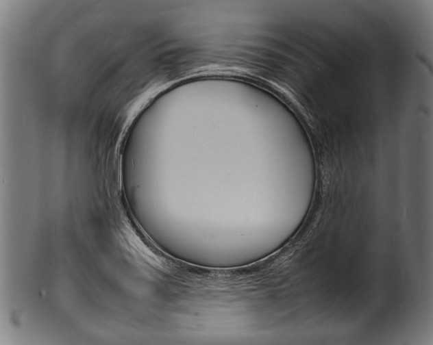 X0000100981371200806241138