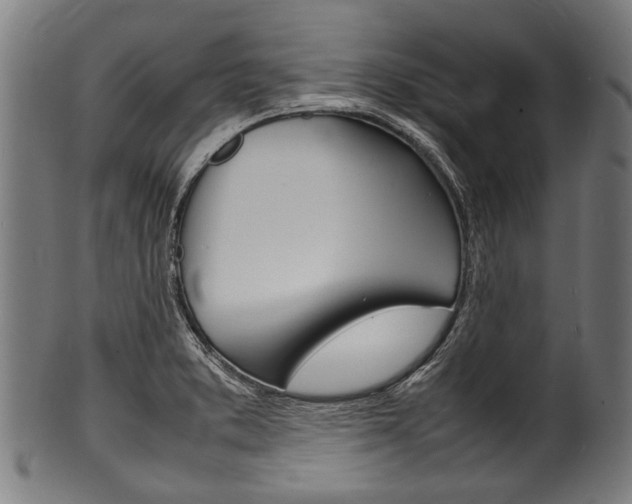 X0000100981373200806241138