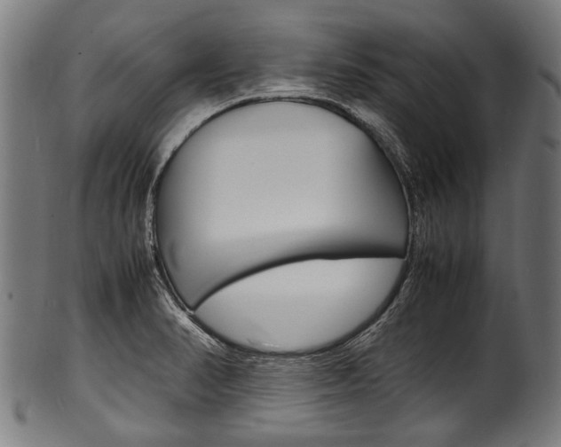 X0000100981374200806241138