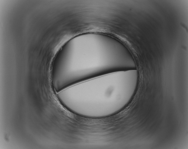 X0000100981375200806241138