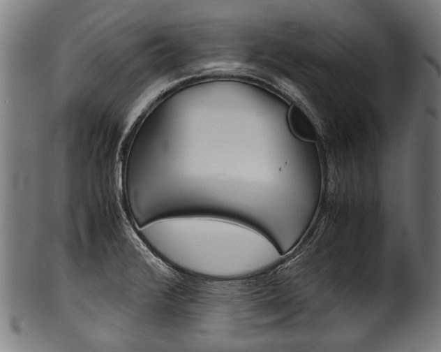 X0000100981376200806241138