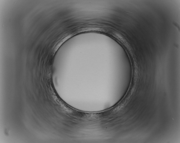 X0000100981377200806241138