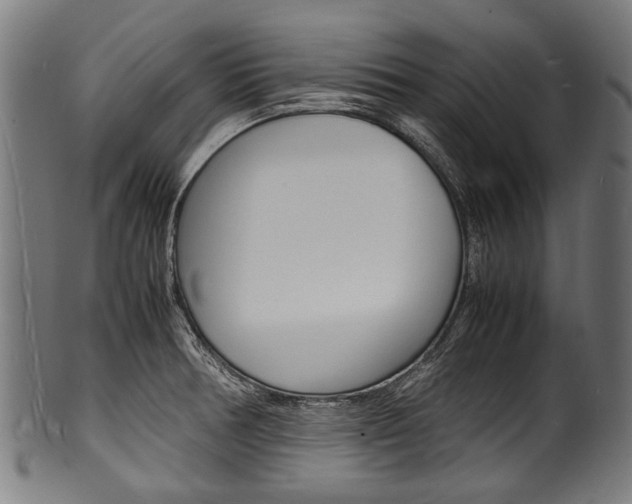 X0000100981378200806241138