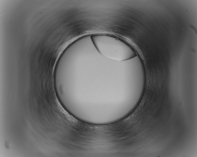 X0000100981380200806241138