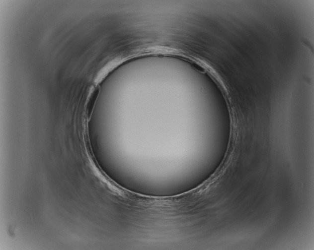 X0000100981381200806241138