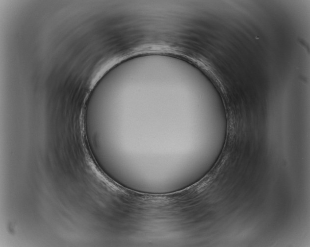 X0000100981382200806241138
