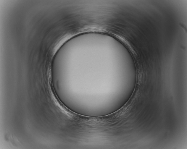 X0000100981383200806241138