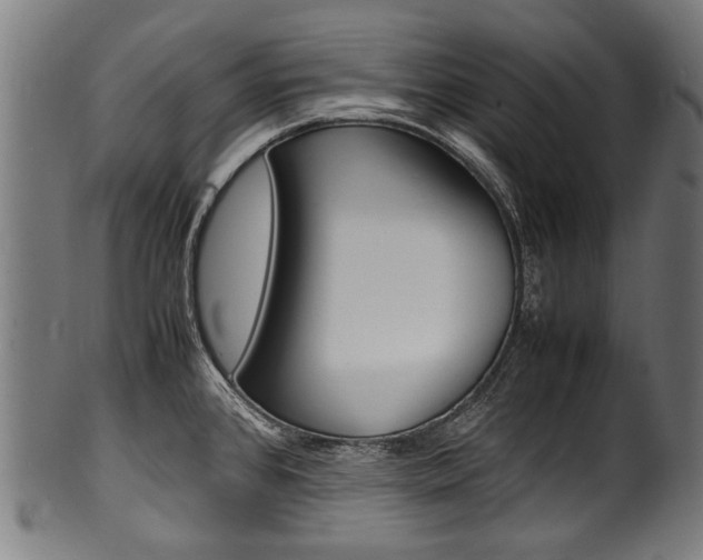 X0000100981384200806241138