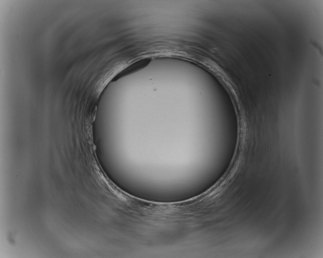 X0000100981385200806241138