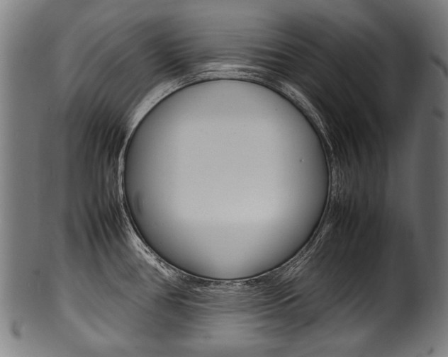 X0000100981386200806241138