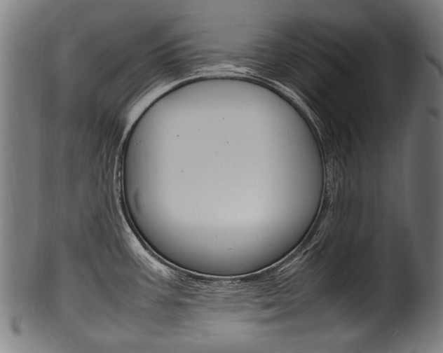 X0000100981387200806241138