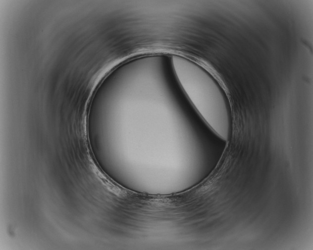 X0000100981388200806241138