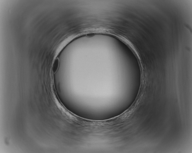 X0000100981389200806241138