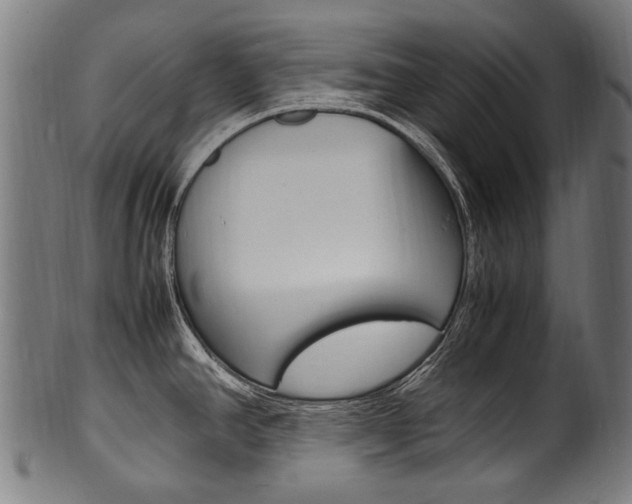 X0000100981390200806241138