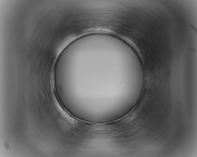 X0000100981391200806241138