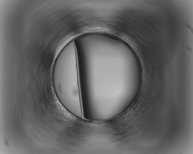 X0000100981392200806241138