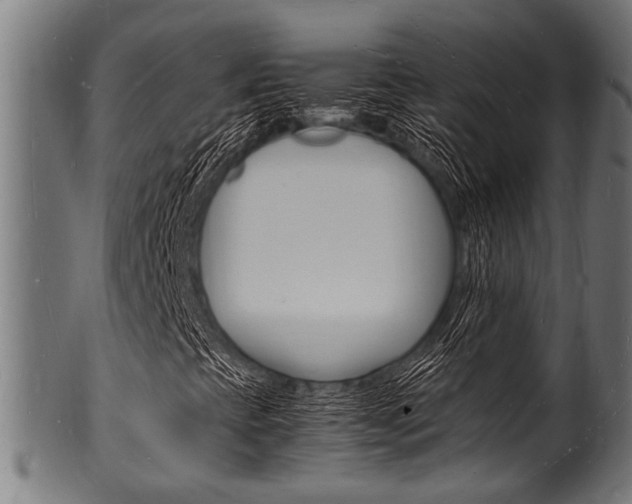 X0000100981393200806241137