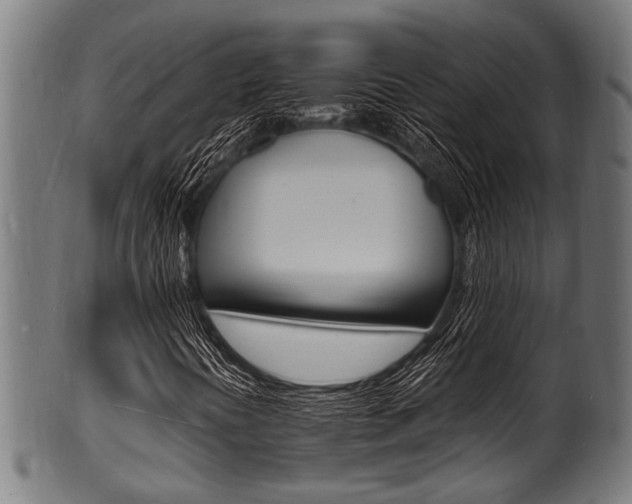 X0000100981394200806241137