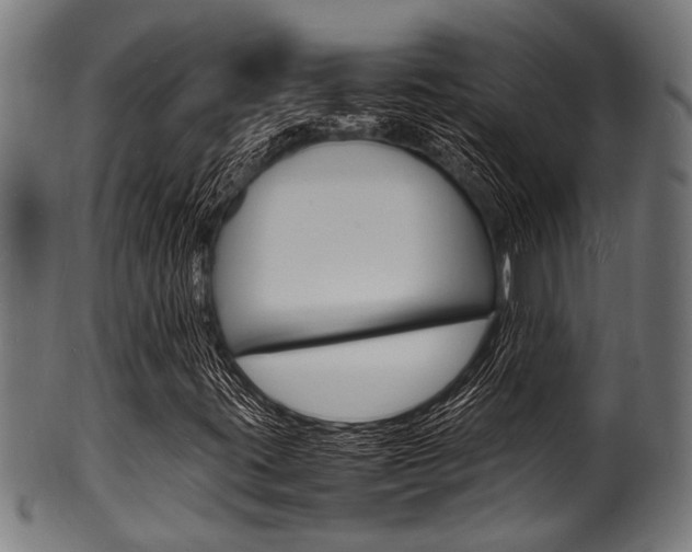 X0000100981395200806241137