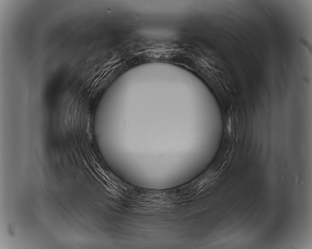 X0000100981396200806241137