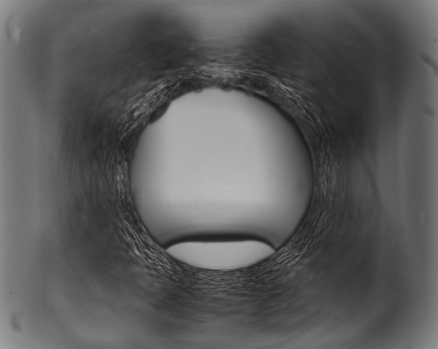 X0000100981397200806241137