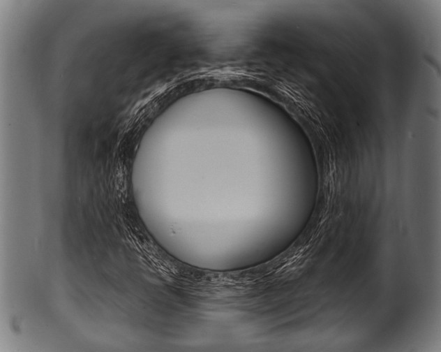 X0000100981398200806241137