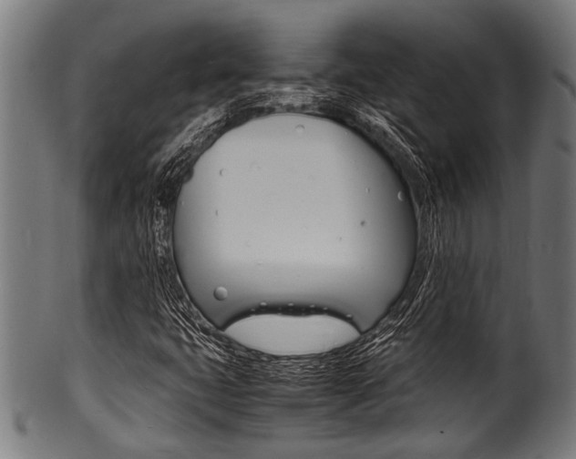 X0000100981399200806241137