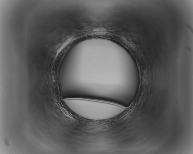 X0000100981400200806241137
