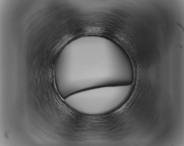 X0000100981401200806241137