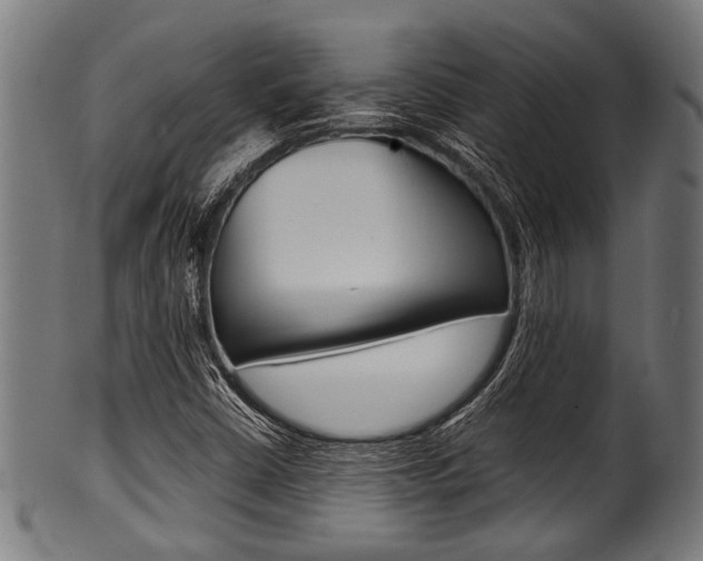 X0000100981402200806241137