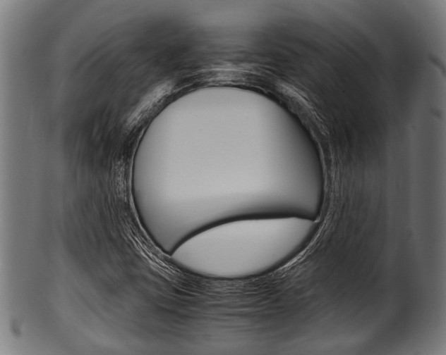 X0000100981403200806241137