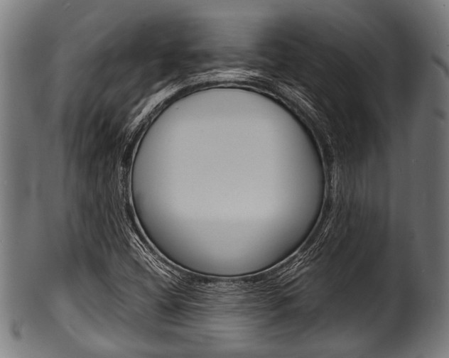 X0000100981404200806241137