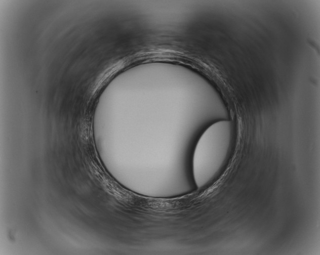 X0000100981405200806241137