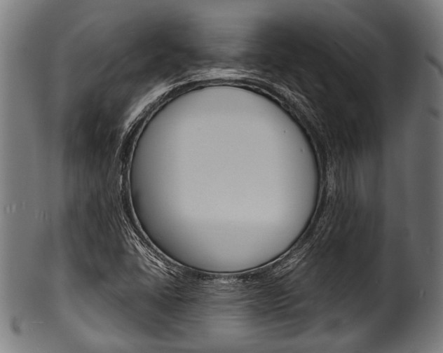 X0000100981406200806241137