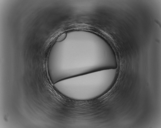 X0000100981407200806241137