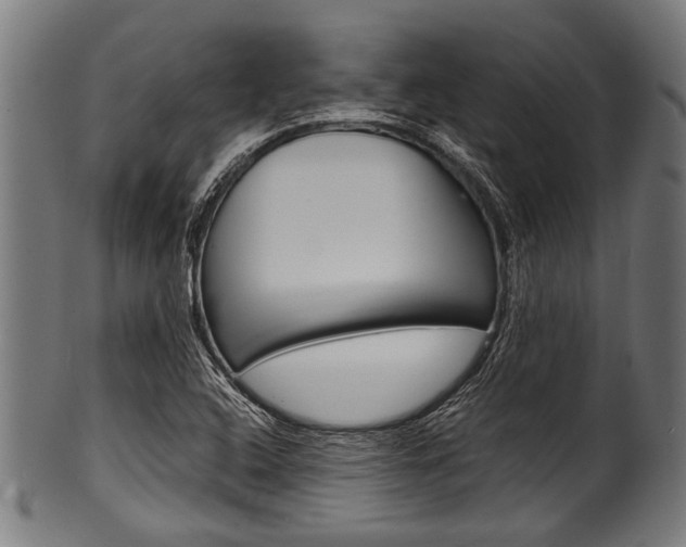 X0000100981408200806241137