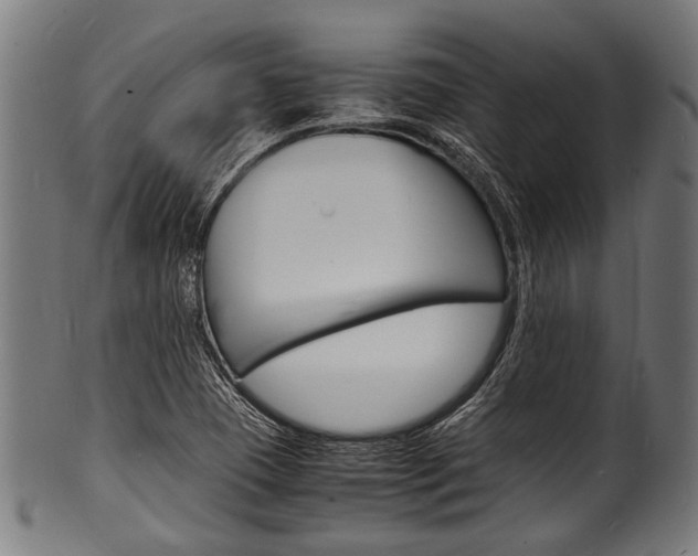 X0000100981409200806241137