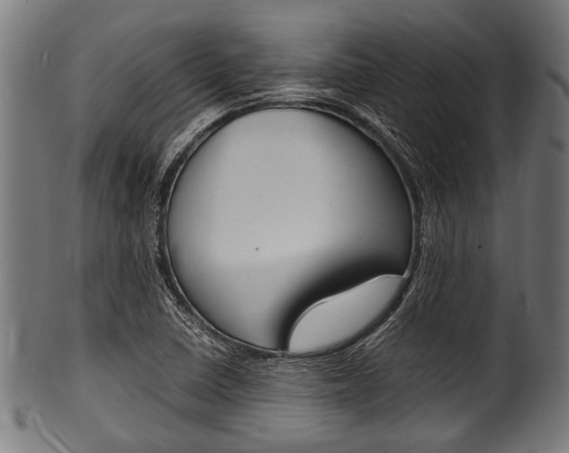 X0000100981410200806241137