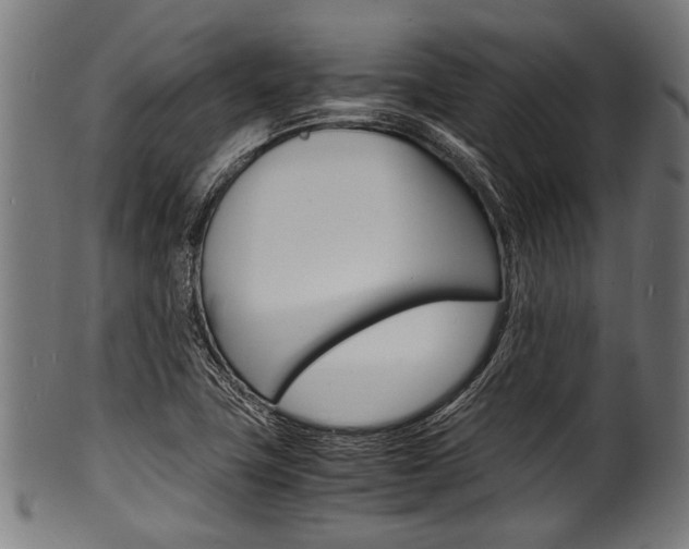 X0000100981411200806241137